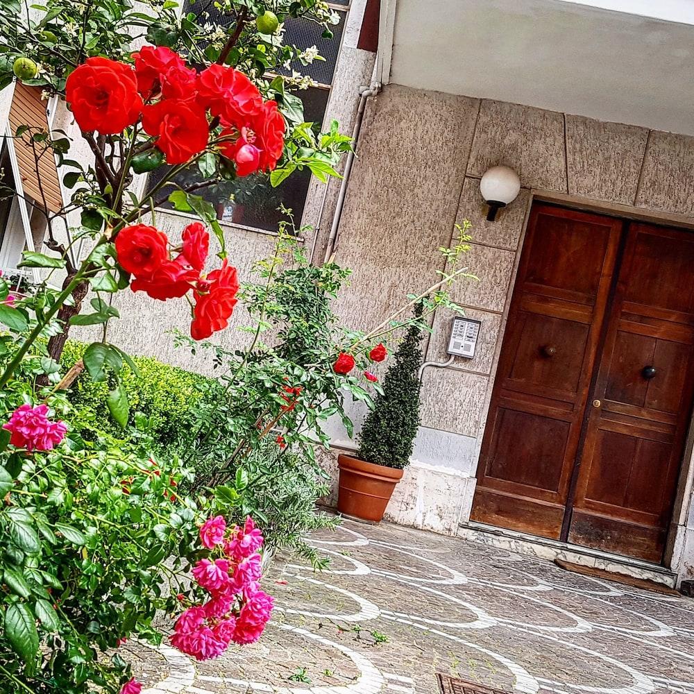B&B Aurelia Garden Rooms Rome Exterior photo